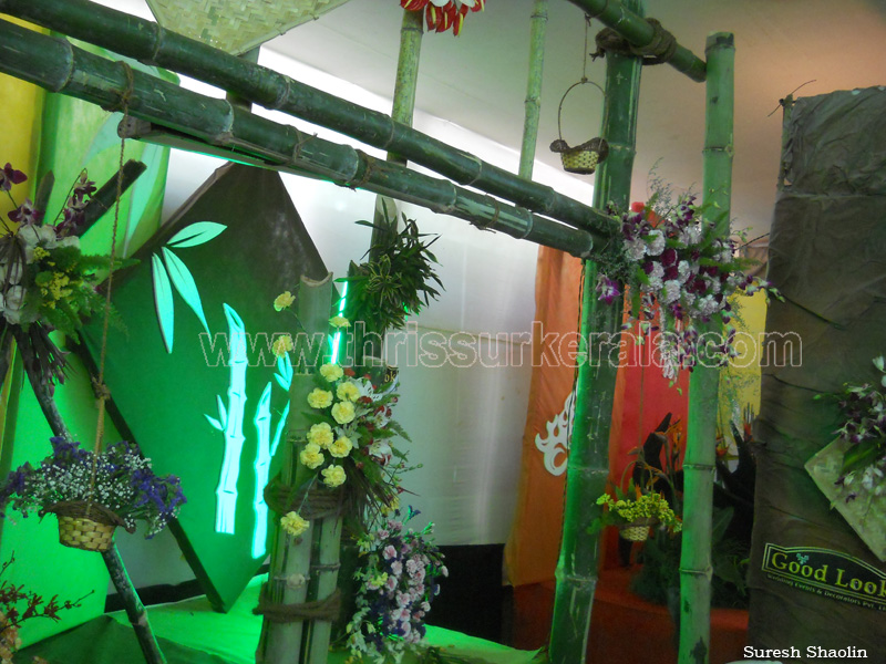 flower-show-2012 (26)
